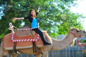 Camel Rides